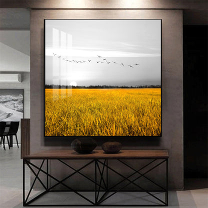 Fields of Freedom Glass Finish Square Wall Art