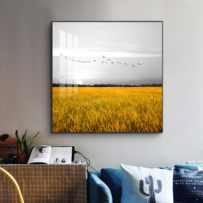 Fields of Freedom Glass Finish Square Wall Art